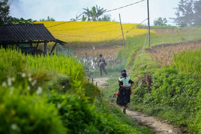 The life of local people in Phung village